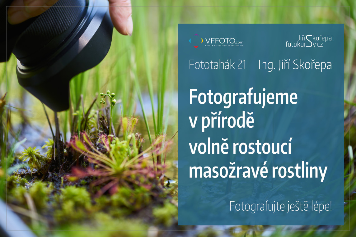 Fototahák 21 – Fotografujeme v přírodě masožravé ros…