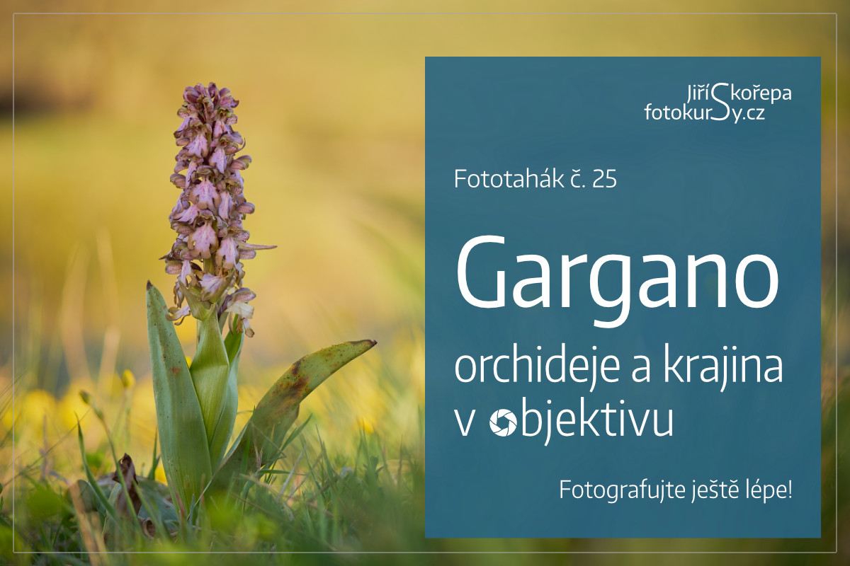 Fototahák 25 – Gargano