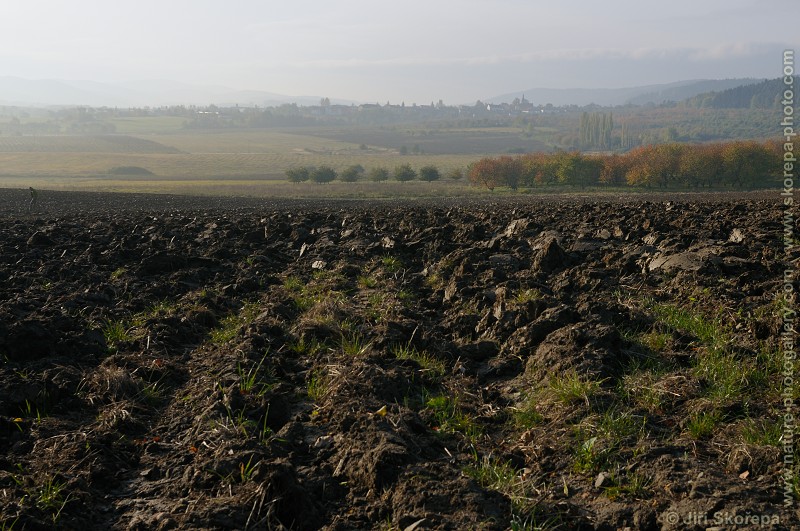 Hrbov - U Kozáků, Netolicko