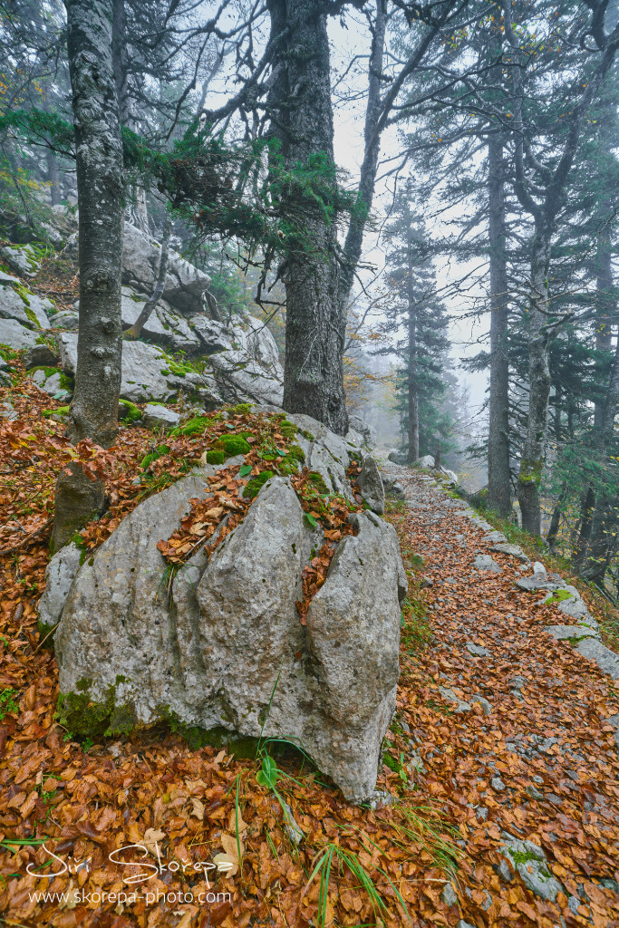 Premužićeva staza – Sjeverni Velebit, Croatia