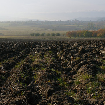 Hrbov - U Kozáků, Netolicko