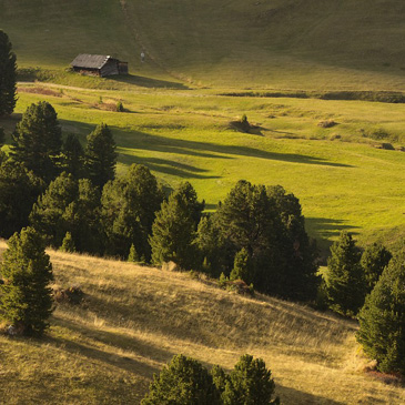 Podvečerní světlo v Passo Gardena...