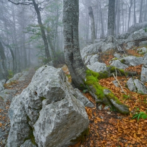 Premužićeva staza – Sjeverni...