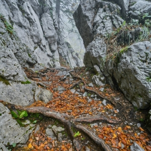 Premužićeva staza – Sjeverni...