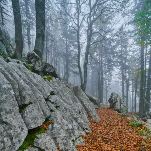Premužićeva staza – Sjeverni...