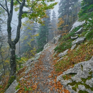 Premužićeva staza – Sjeverni...