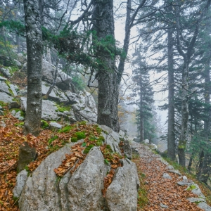 Premužićeva staza – Sjeverni...