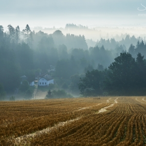 Vysočina po sklizni – Humpolecko